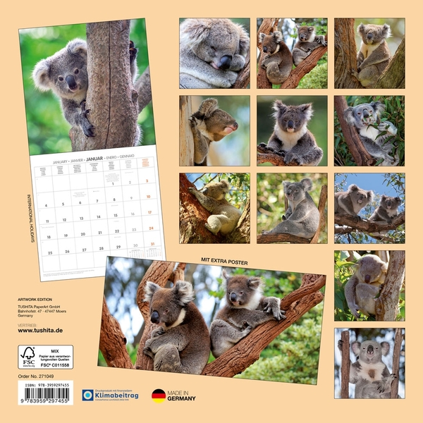 Бумажная книга «Koalas 2027» - фото №1