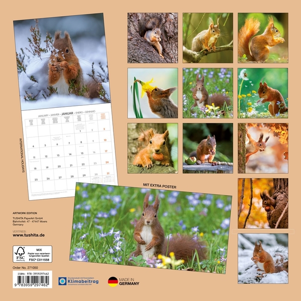 Бумажная книга «Eichhörnchen / Squirrels / Écureuils 2027» - фото №1