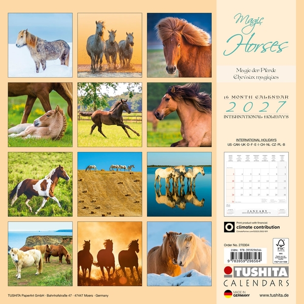 Паперова книга «Magic Horses 2027» - фото №1
