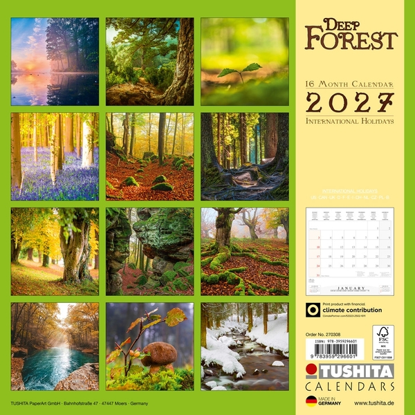 Паперова книга «Deep Forest 2027» - фото №1