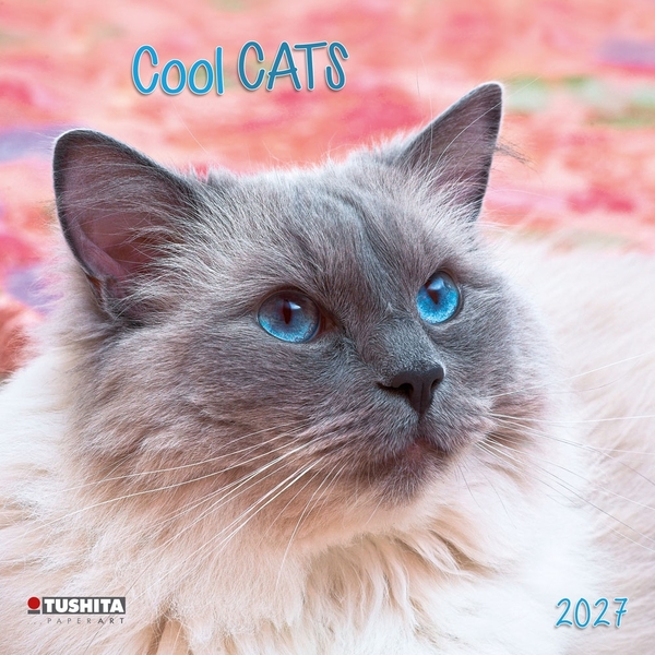 Бумажная книга «Cool Cats 2027» - фото №1