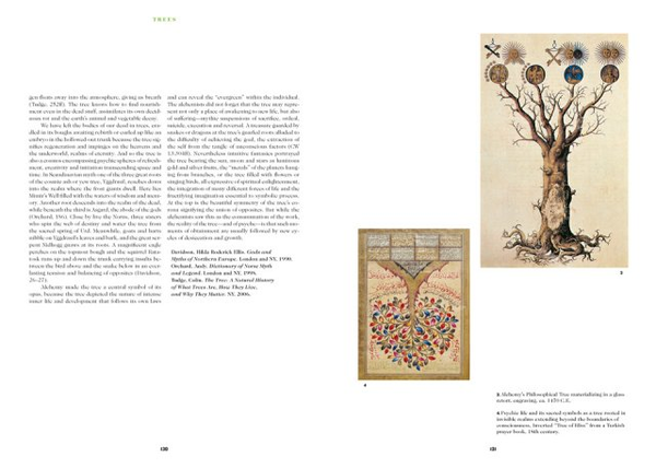 Паперова книга «The Book of Symbols. Reflections on Archetypal Images» - фото №1
