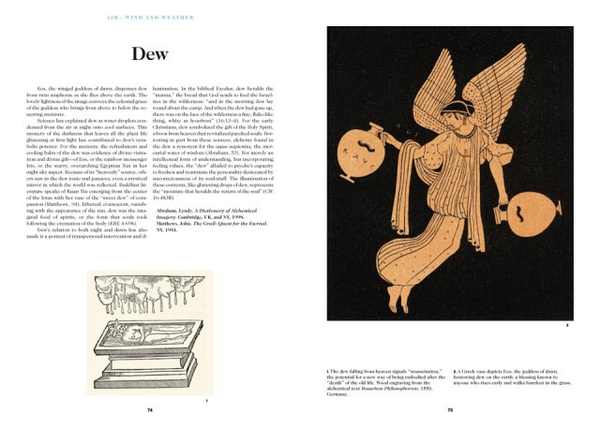 Паперова книга «The Book of Symbols. Reflections on Archetypal Images» - фото №1