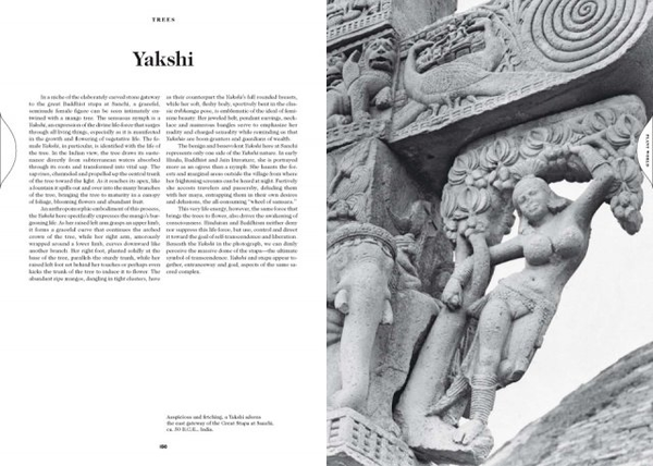 Паперова книга «The Book of Symbols. Reflections on Archetypal Images» - фото №1
