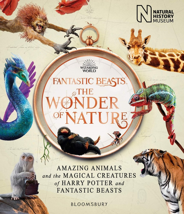 Бумажная книга «Fantastic Beasts: The Wonder of Nature : Amazing Animals and the Magical Creatures of Harry Potter and Fantastic Beasts», автор Музей естественной истории - фото №1