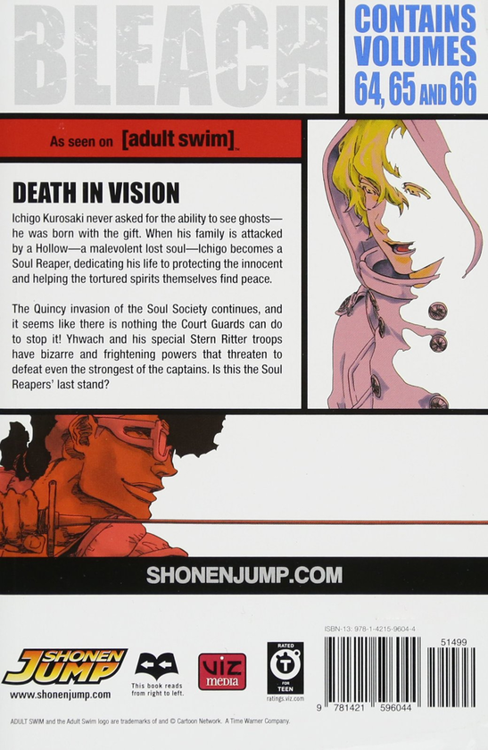 [object Object] «Bleach. 3-in-1 Edition. Volume 22», автор Тайто Кубо - фото №3 - миниатюра