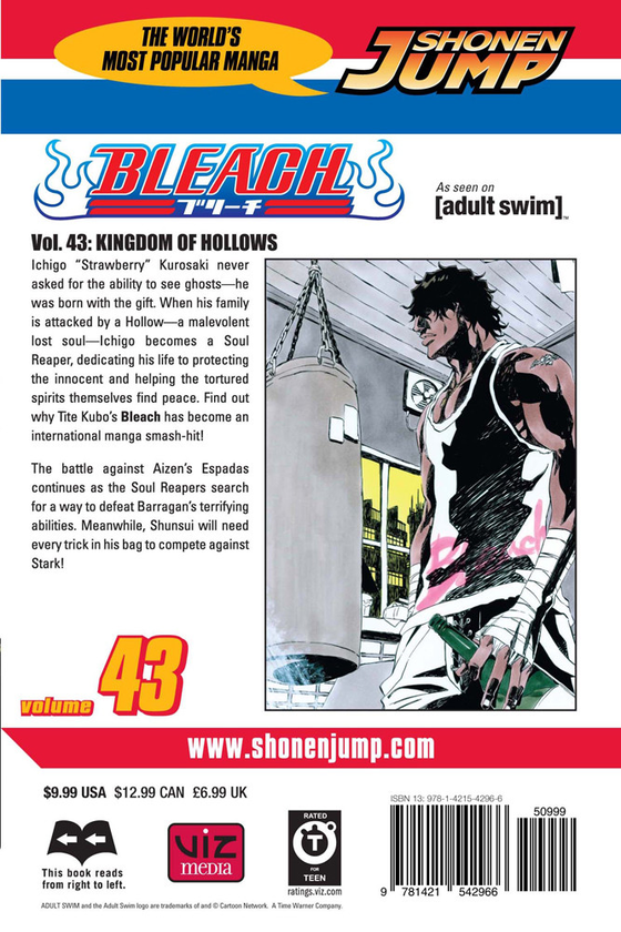Бумажная книга «Bleach. Volume 43», автор Тайто Кубо - фото №1