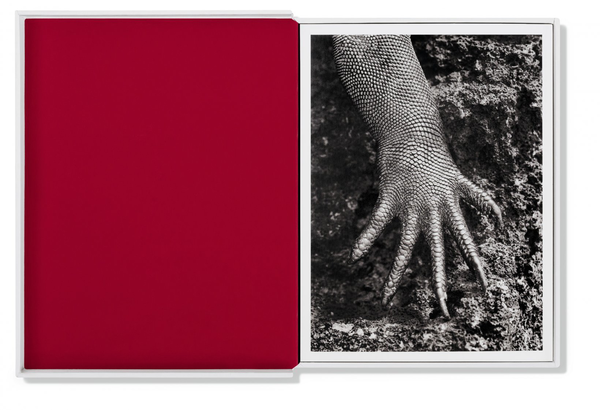 Бумажная книга «Sebastião Salgado. GENESIS. Postcard Set» - фото №1
