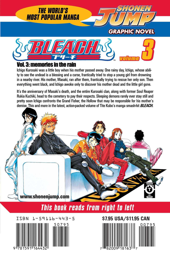 Бумажная книга «Bleach. Volume 3», автор Тайто Кубо - фото №1