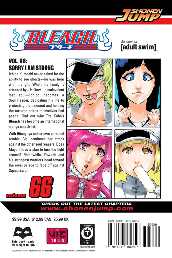 Паперова книга «Bleach. Volume 66», автор Тайто Кубо - фото №1
