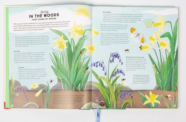 Бумажная книга «A Story of the Seasons», автор Анна Уилсон - фото №1