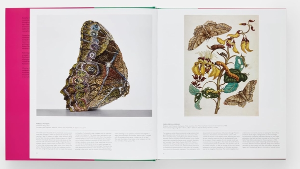 Бумажная книга «Butterfly: Exploring the World of Lepidoptera», автор Редакторы "Phaidon" - фото №1