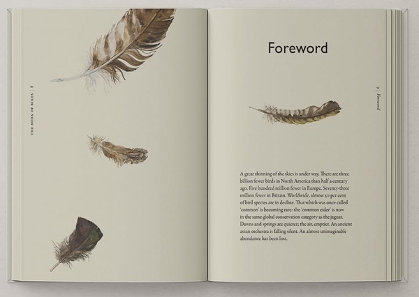 Бумажная книга «The Book of Birds: A Field Guide to Wonder and Loss», авторов Джеки Моррис, Роберт Макфарлейн - фото №1
