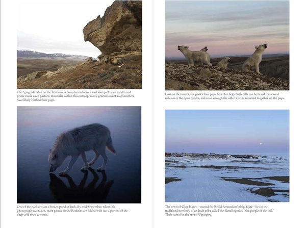 Бумажная книга «Frostlines: An Epic Exploration of the Transforming Arctic», автор Нил Ши - фото №1
