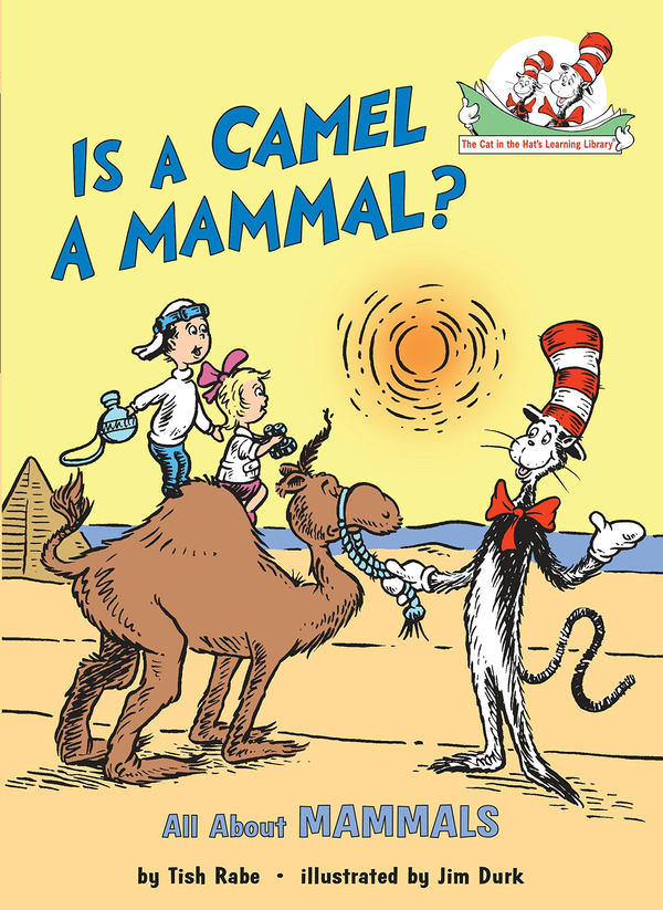 [object Object] «Is a Camel a Mammal?», автор Тиш Рабе - фото №2 - миниатюра