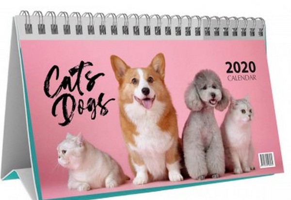 Бумажная книга «Календар настільний перекидний на 2020. Cats & Dogs» - фото №1