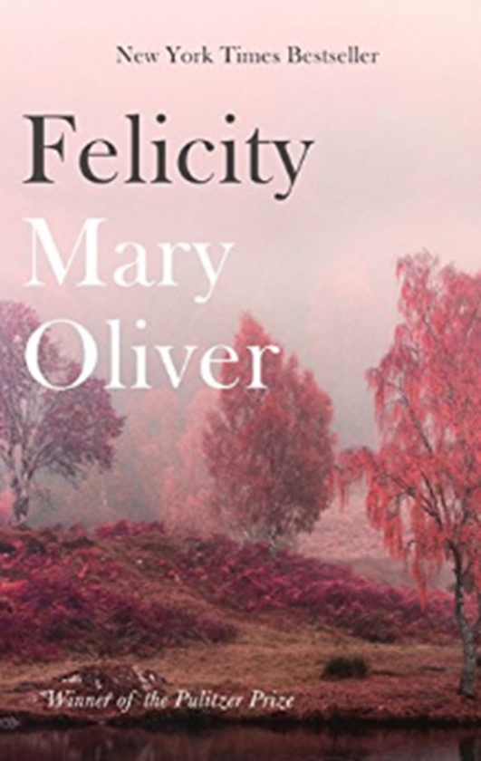 Бумажная книга «Felicity», автор Мэри Оливер - фото №1