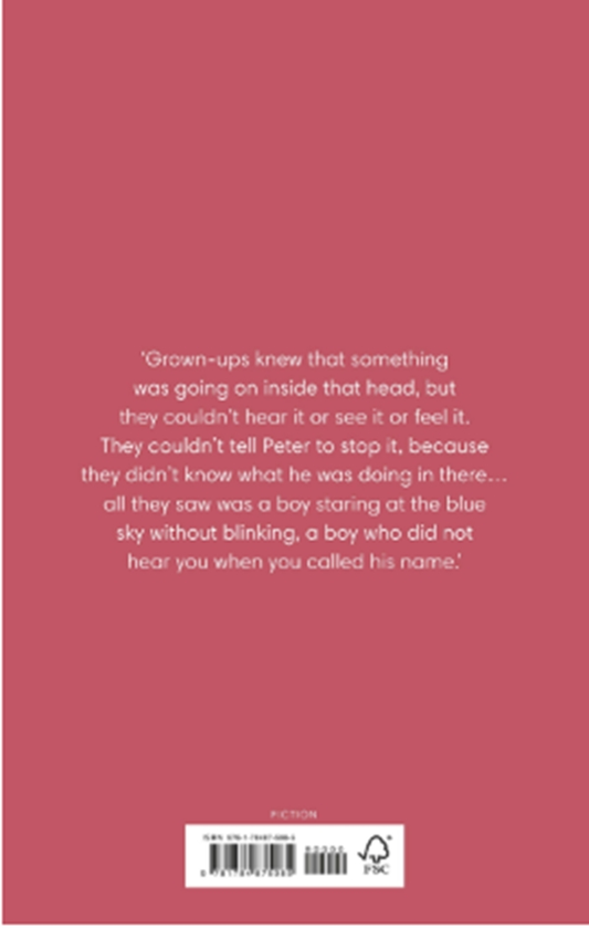 Бумажная книга «The Daydreamer», автор Иэн Макьюэн - фото №1