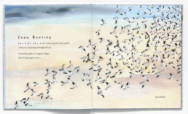 Бумажная книга «Snow Birds», автор Кирстен Холл - фото №1