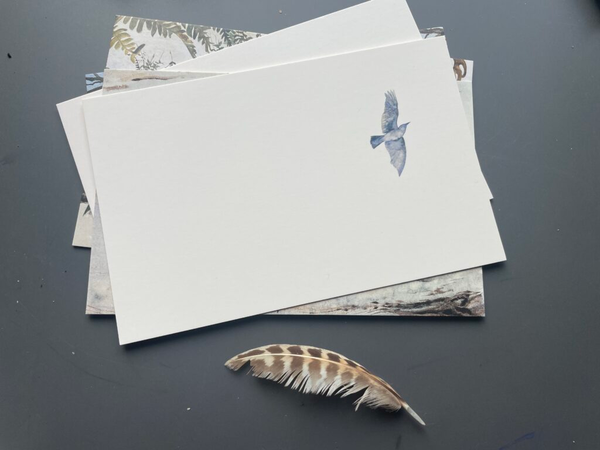 Паперова книга «The Wild Cards. A 100 Postcard Box Set», автор Роберт Макфарлейн - фото №1