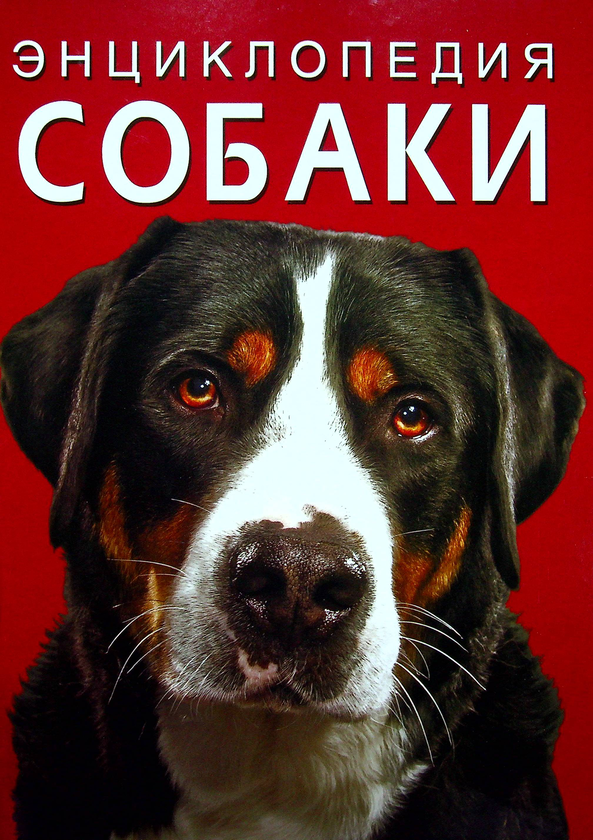 [object Object] «Все про собак (комплект з 5 книг)», авторів Ангус Хайленд, Дмитро Турбаніст, Кетра Вілсон, Четін Кен Карадуман, Джеймс Кемпбелл, Джулі Гехт, Міа Кобб, Енді Гірш - фото №2 - мініатюра
