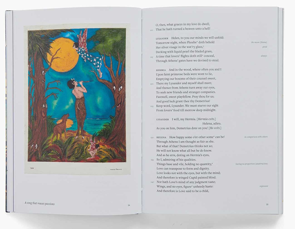 Бумажная книга «William Shakespeare Marcel Dzama. A Midsummer Nights Dream», авторов Уильям Шекспир, Марсель Дзама - фото №1