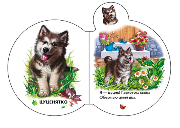 Бумажная книга «У селі», автор Ирина Солнышко - фото №1