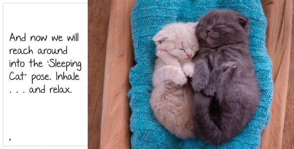 Бумажная книга «Love Cats. A Book of Cat Lovers for Cat-Lovers», автор Хьюго Росс - фото №1