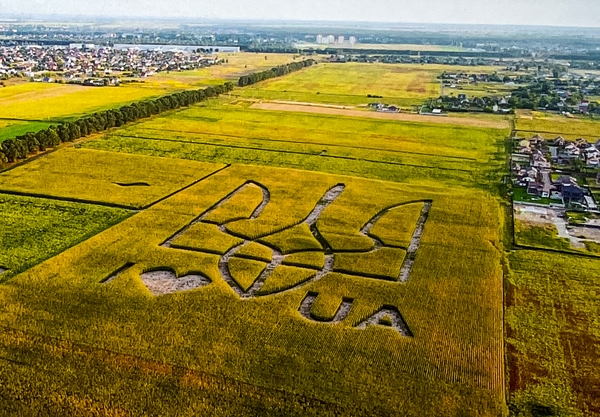 «Листівка "Герб" (C-YJQ)», бренда CakeTravel - фото №1