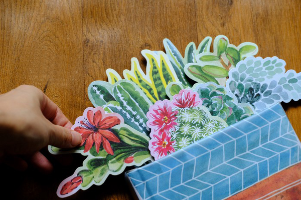 Бумажная книга «Succulents in a Book. Jacket Comes Off. Plants Pop Up. Display on Your Desk!», автор Молли Хэтч - фото №1