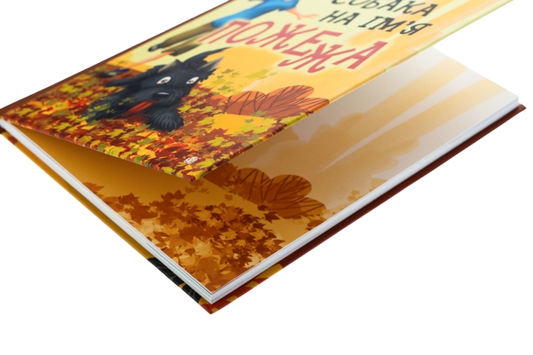 Бумажная книга «Собака на ім'я Пожежа», автор Оксана Давыдова - фото №1
