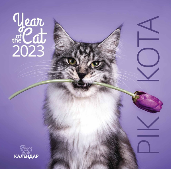 Книга Календар на 2023. Свято кожен день. Рік кота
