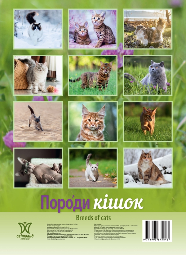 Бумажная книга «Календар "Породи кішок" 2027» - фото №1