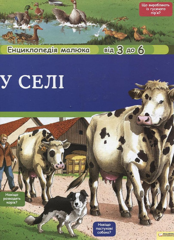 Книга У селі