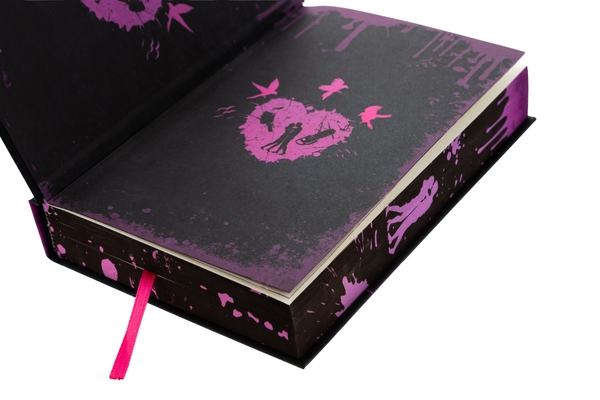 Паперова книга «М'ясник та Чорна Пташка. Limited edition», автор Брінн Вівер - фото №1