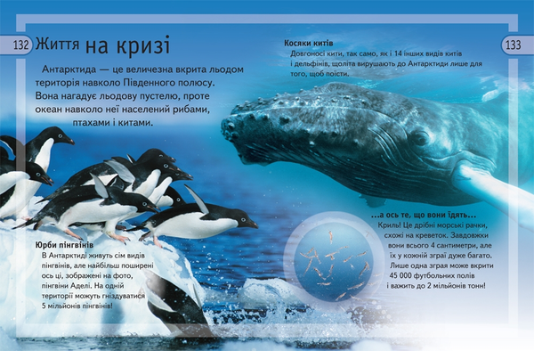 Бумажная книга «Велика енциклопедія дошкільняти» - фото №1