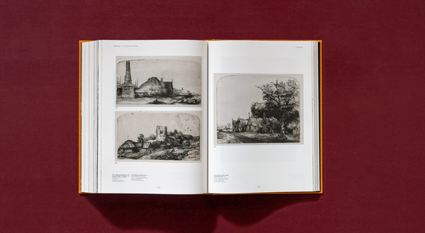 Паперова книга «Rembrandt. The Complete Drawings and Etchings», авторів Пітер Шетборн, Ерік Хінтердінг - фото №1