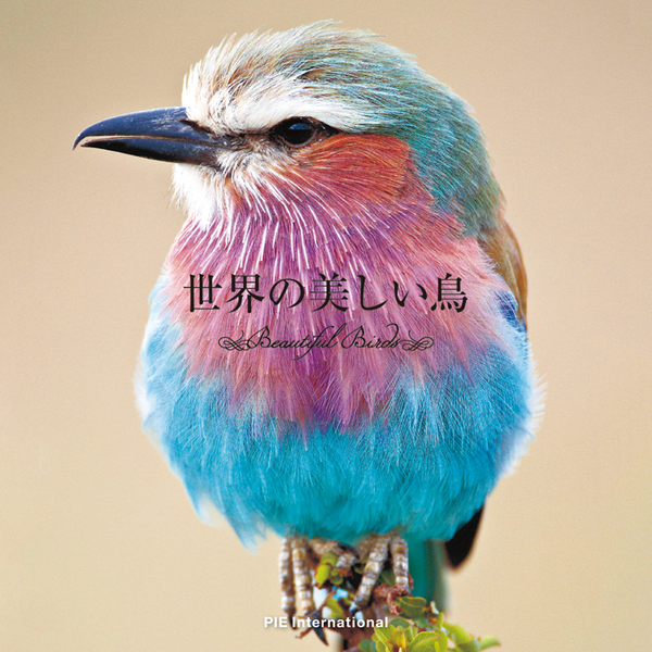 Бумажная книга «Beautiful Birds in the World», автор Кэйсукэ Уэда - фото №1