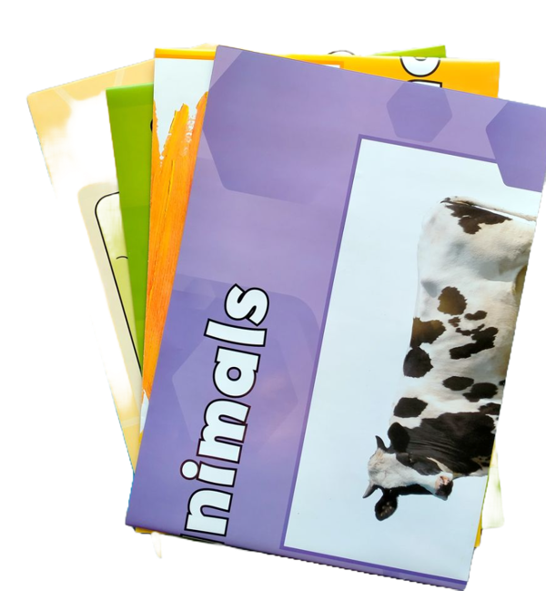 [object Object] «Beehive Starter Classroom Resources Pack» - фото №2 - мініатюра