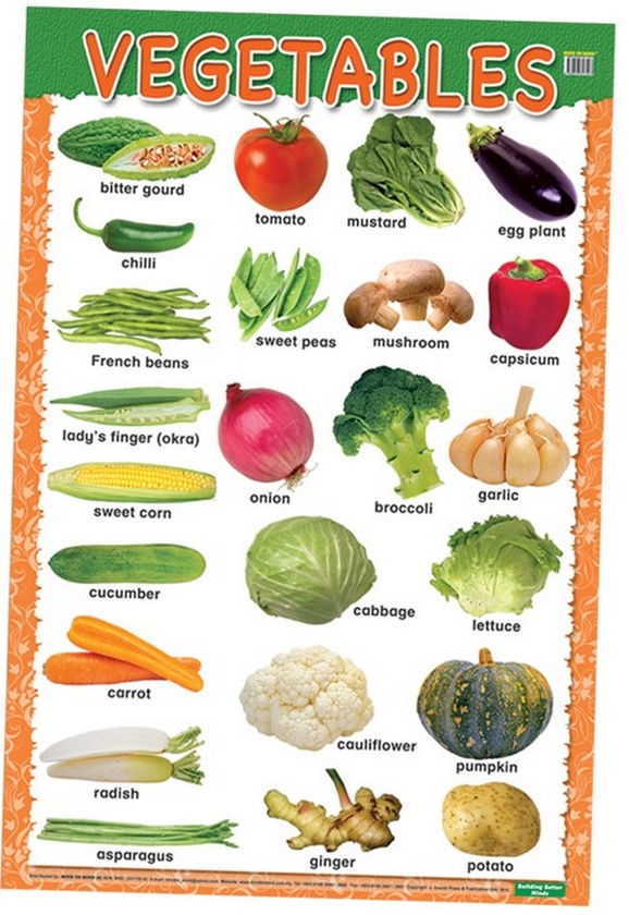 Бумажная книга «Education Charts. Vegetables» - фото №1