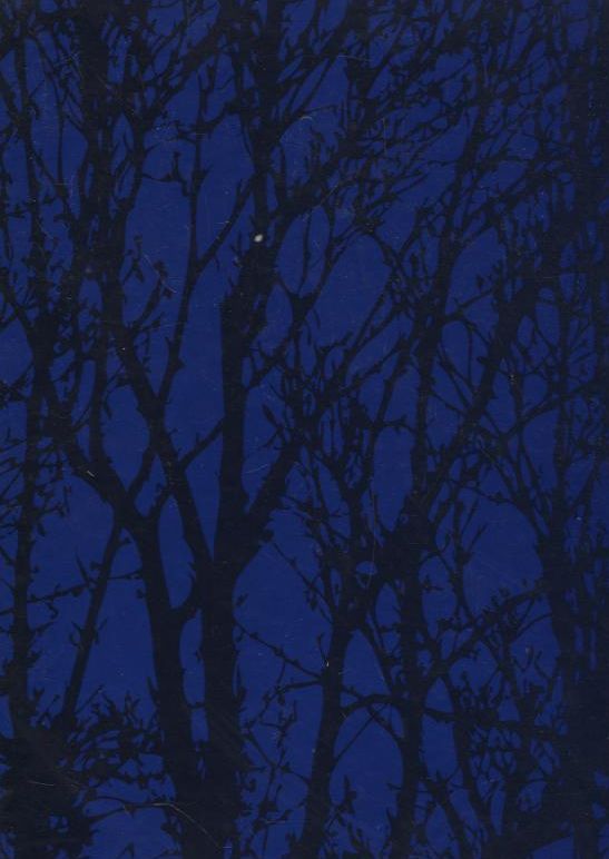 Бумажная книга «Чому наші діти стають тиранами, або Загублене дитинство», автор Михаэль Винтергофф - фото №1