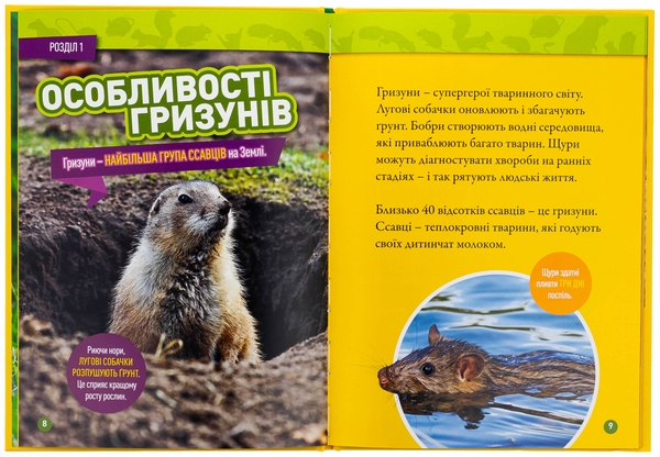 Паперова книга «Шкряб! 100 цікавих фактів про гризунів», автор Роуз Девідсон - фото №1