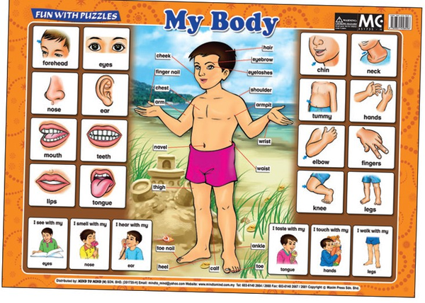 [object Object] «Fun With Puzzles. My Body» - фото №1