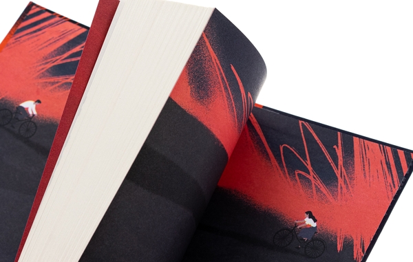 Бумажная книга «Безбратня ніч», автор В. В. Ганешанантхан - фото №1