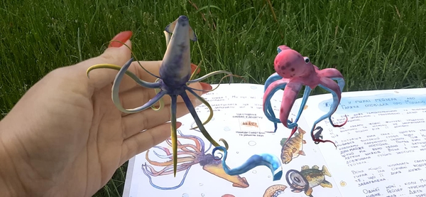 [object Object] «Збірка казок про мушельки з доповненою реальністю 3D», автор Дарья Паламарчук - фото №5 - миниатюра