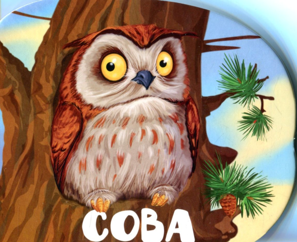 Книга Сова