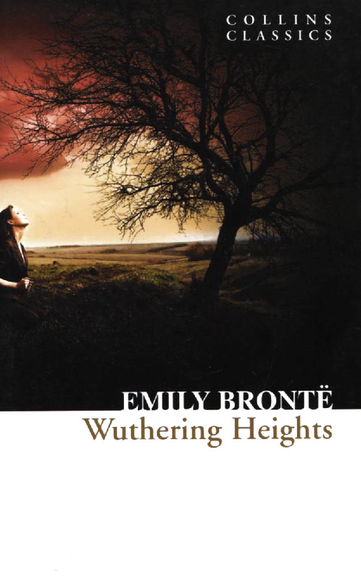 Бумажная книга «Wuthering Heights», автор Эмили Бронте - фото №1