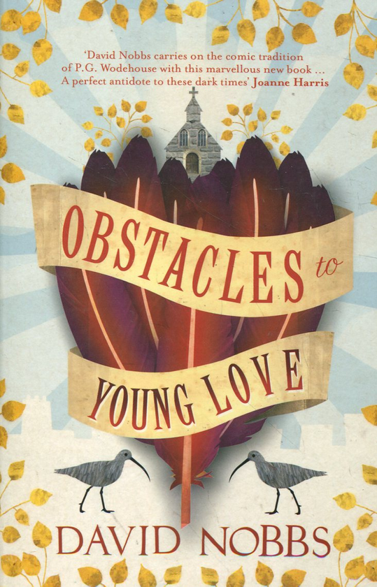 Бумажная книга «Obstacles to Young Love», автор Дэвид Ноббс - фото №1