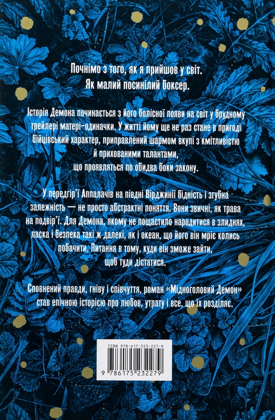 [object Object] «Мідноголовий Демон», автор Барбара Кингсолвер - фото №2 - миниатюра