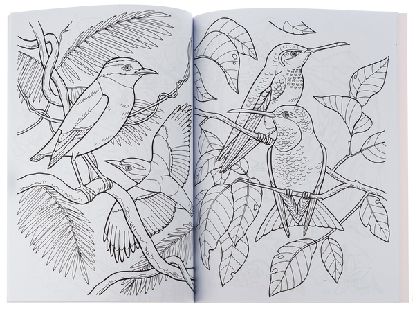Бумажная книга «Велика книга розмальовок. Дівчатка та квіти» - фото №1
